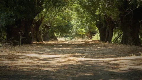Road Stock Footage 143369548