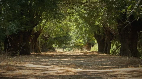 Road Stock Footage 143370987