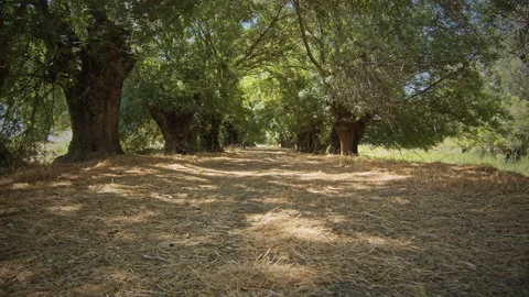Road Stock Footage 143375852