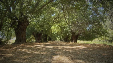 Road Stock Footage 143380229