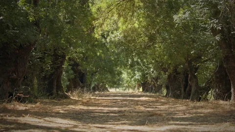 Road Stock Footage 143403980