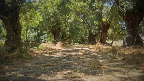 Road Stock Footage 143425688