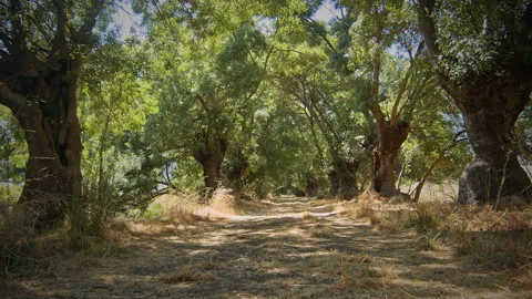 Road Stock Footage 143428780