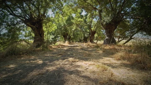 Road Stock Footage 143434042