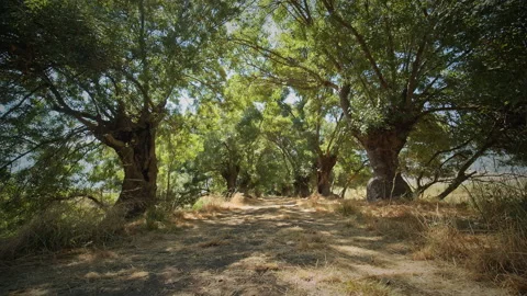 Road Stock Footage 143436763