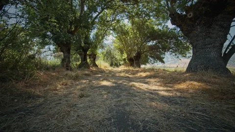 Road Stock Footage 143438429