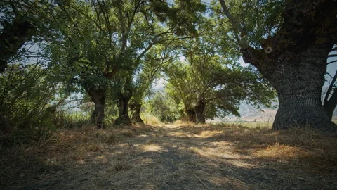 Road Stock Footage 143440323