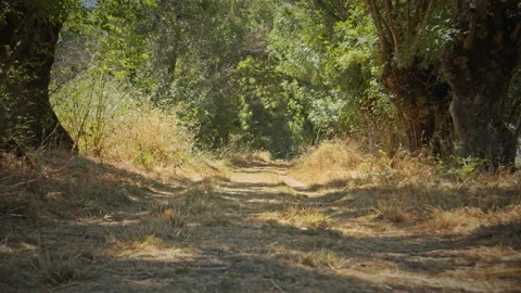 Road Stock Footage 143443668