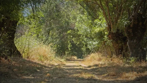 Road Stock Footage 143445747