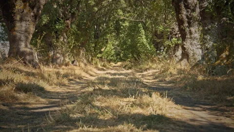 Road Stock Footage 143447872