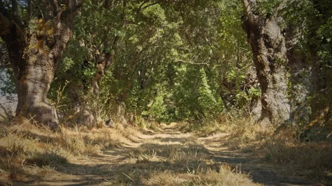 Road Stock Footage 143449850