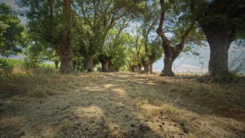 Road Stock Footage 143455923