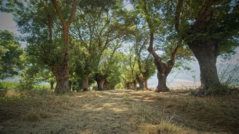 Road Stock Footage 143470611