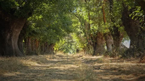 Road Stock Footage 143478937