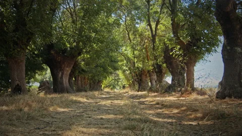 Road Stock Footage 143483539