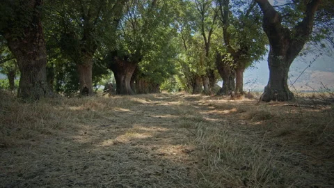 Road Stock Footage 143487772