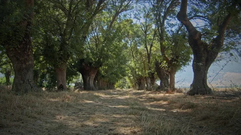 Road Stock Footage 143493020