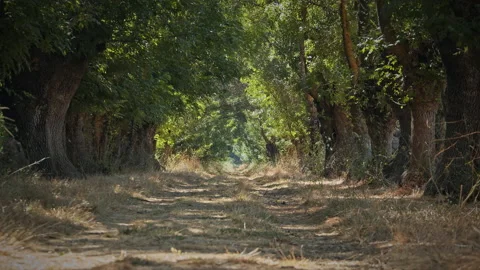 Road Stock Footage 143496974