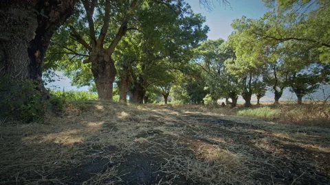 Road Stock Footage 143503921