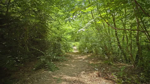 Road Stock Footage 144800636