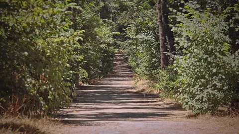 Road Stock Footage 145957120