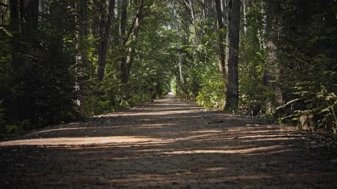 Road Stock Footage 146081464