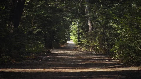 Road Stock Footage 146090228