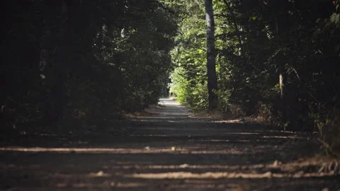 Road Stock Footage 146093890
