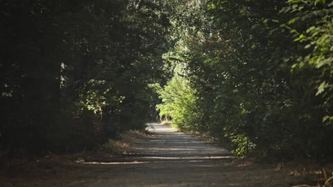 Road Stock Footage 146095865