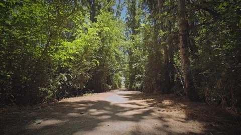 Road Stock Footage 146123125