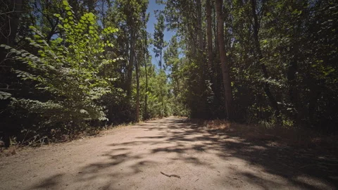 Road Stock Footage 146140295