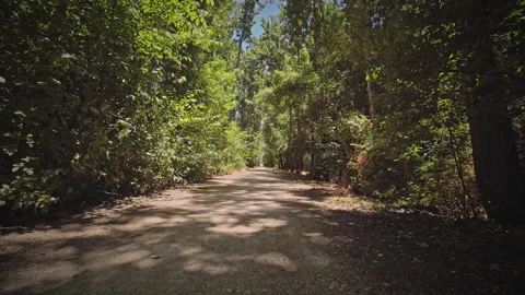 Road Stock Footage 146142696