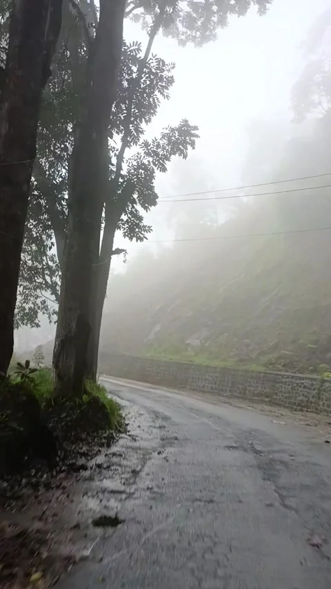 Road Video stock 211329082