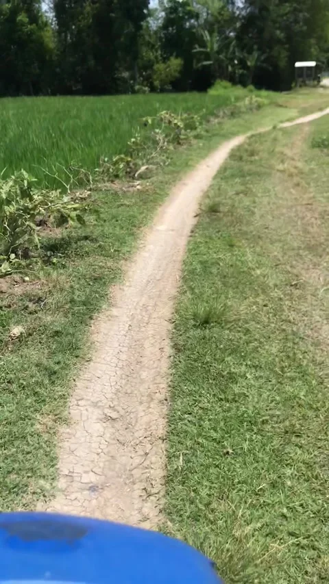 Road Видео 213789270