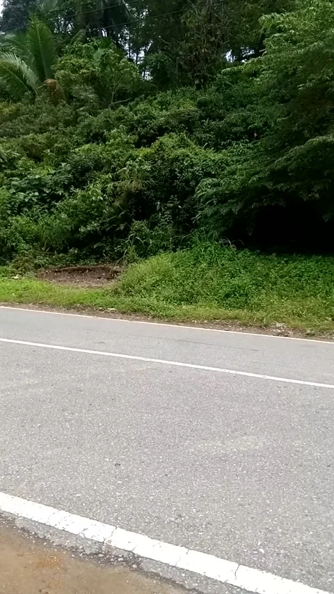 Road Video stock 222023915