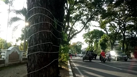 Road Video stock 227467466