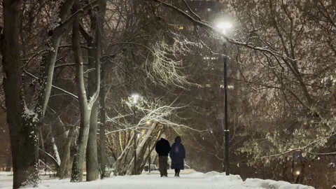 The road Stock Footage 296983237