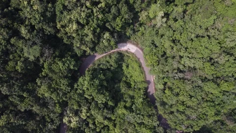 Road in the forest 4k 30p drone shot Stock Footage 231289207