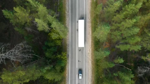 Road in the forest. 4K. Aerials Stock Footage 105227299