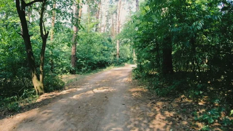 The road to the forest. With acceleration, a path in the forest was shot. Stock Footage 111493165