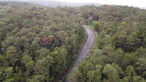 The road into the forest aerial Stock Footage 125917117