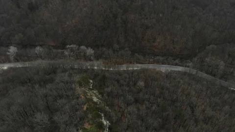 Road in the forest. Aerial view of the road in forest. Stock Footage 124591212
