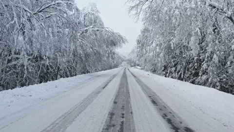 The road in forest after snowstorm. Stock Footage 232929447