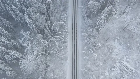 The road in forest after snowstorm. Stock Footage 232940204