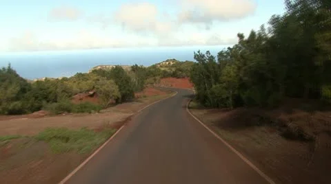 Road, forest and clouds Stock Footage 12050185