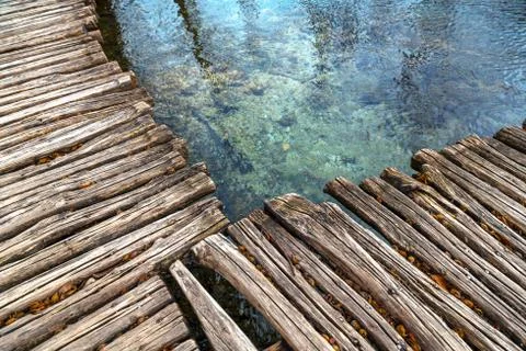 Road in the forest at autumn Stock Photos