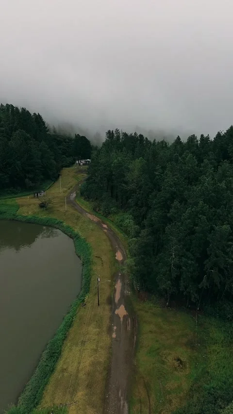 A road with a forest in the background Stock Footage 327483075