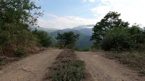 Forest Offroad Background Stock Videos – Royalty-Free HD & 4K Videos ...