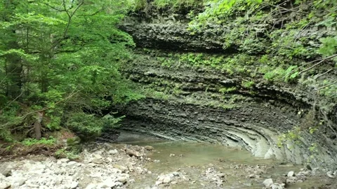 Road in the forest between rocks Stock Footage 236354516