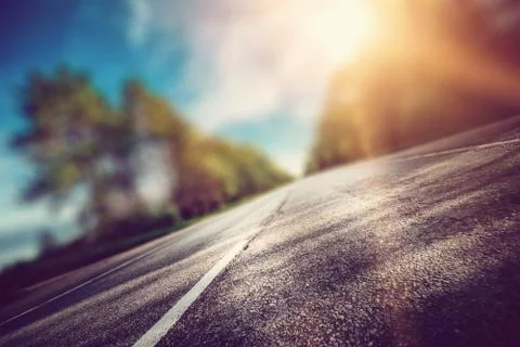 Road in forest blur Stock Photos